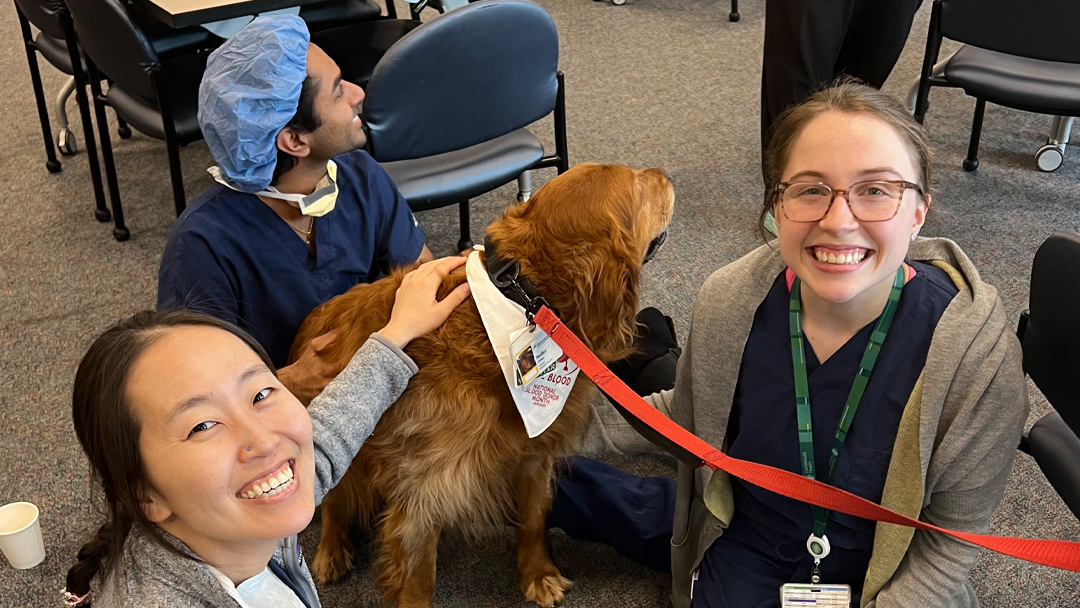 Residents and Fellows Appreciation Day